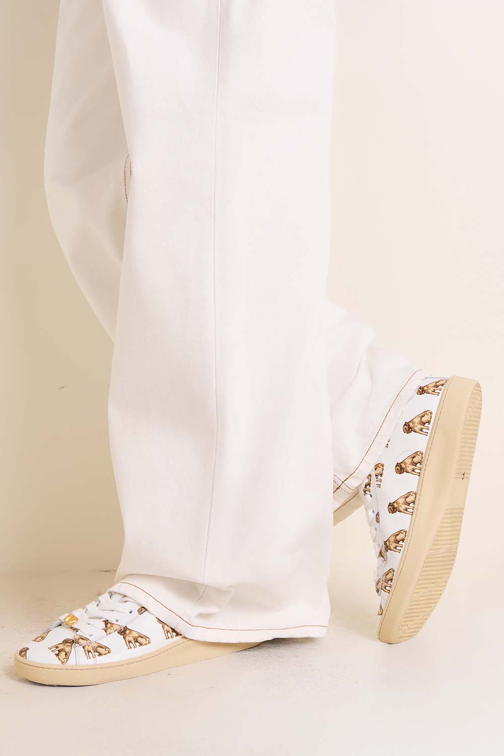 נעלי סניקרס